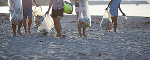 cleanup volunteers.webp