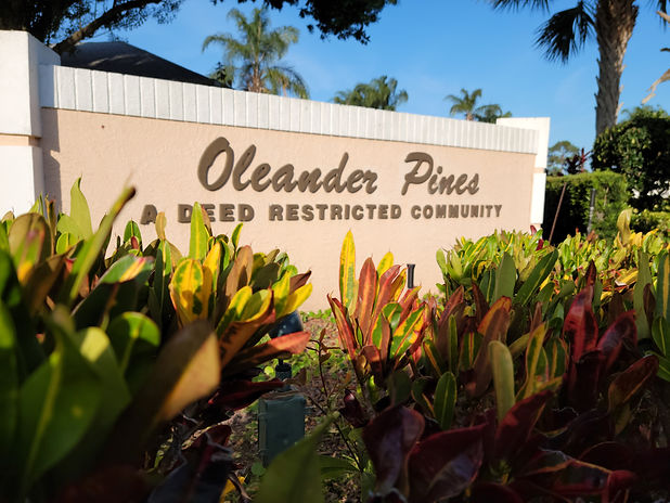 Copy of 20210407_180831.jpg