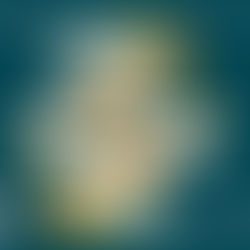 Exposición de Bordados de Fabiola Marroquín (Fabiola 's Room Puntaditas Filosas)