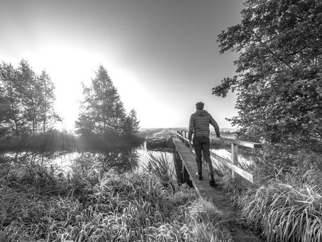 Harnessing the Healing Power of Nature