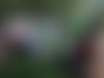 [VÍDEO] Veja como foi a Oficina Gastrô Afetiva, na Praça Quincas Borba, em Jardim Sulacap