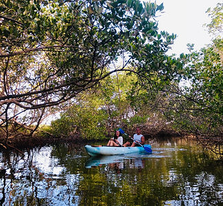 Rooftop Bild Kajak Mark.jpg