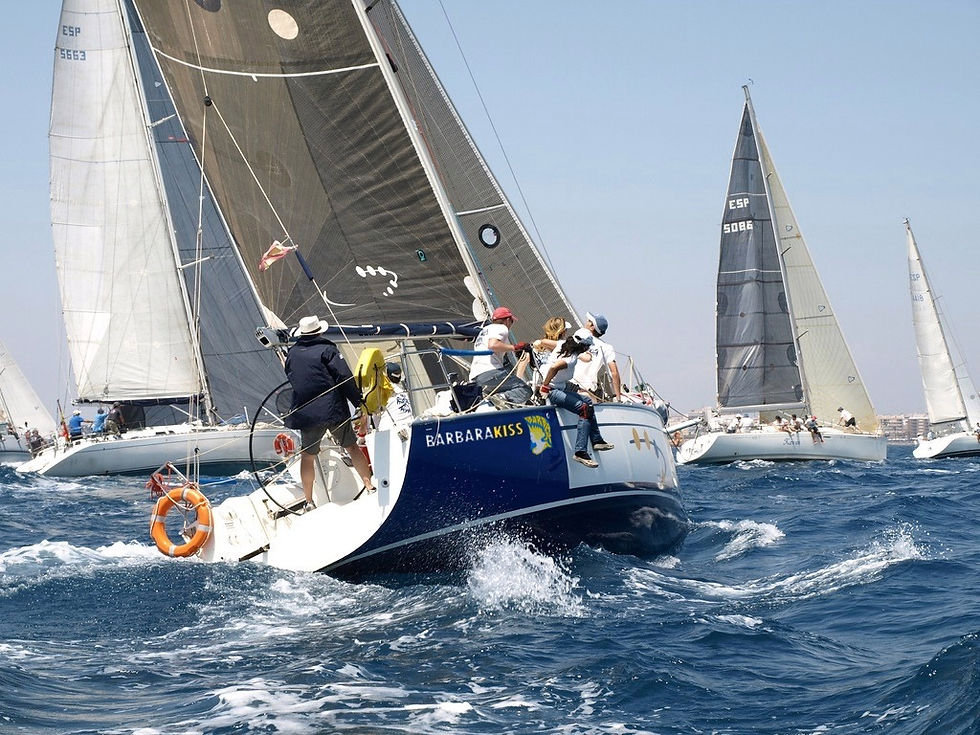 REGATA_BARBARA-KISS.jpg