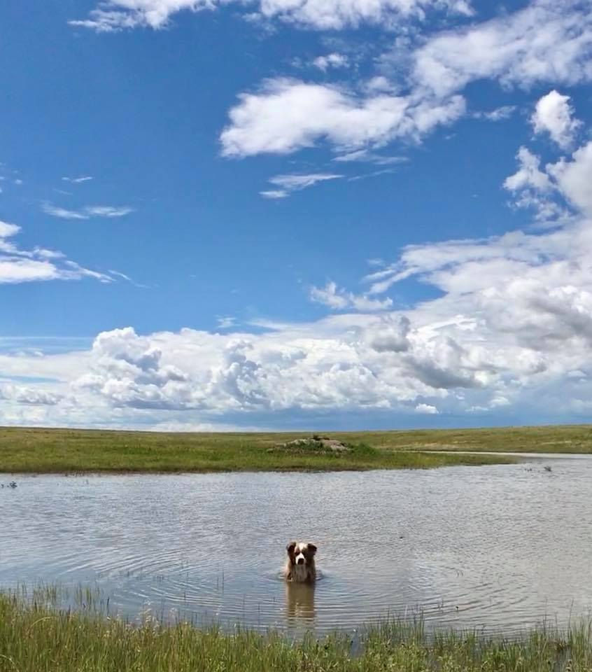 Rooney Out For a Swim