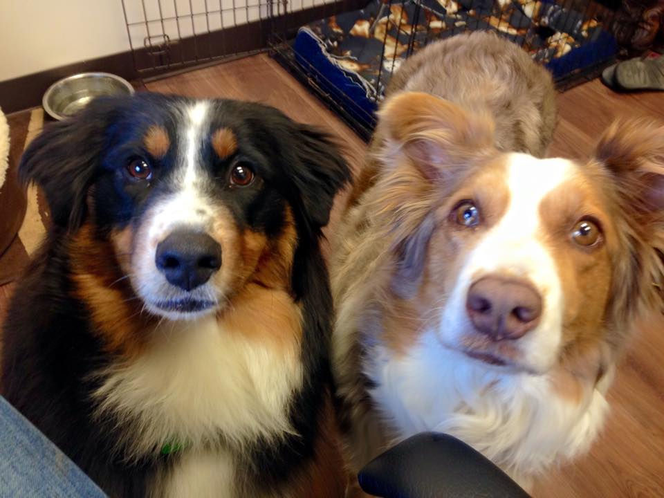Paisley and Quincy