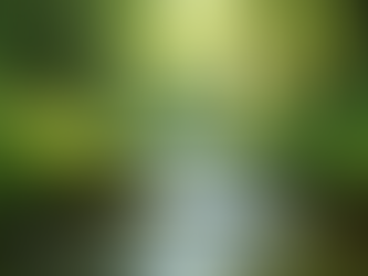 Holistic Health Solutions