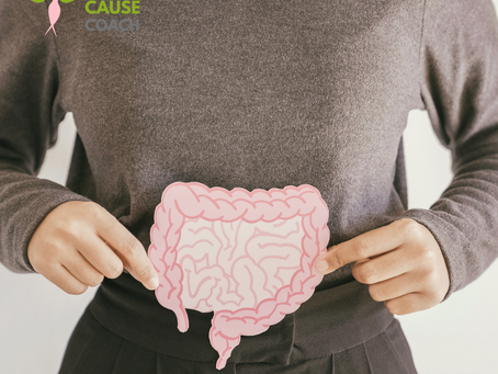 Gut Health and Breast Cancer Prevention