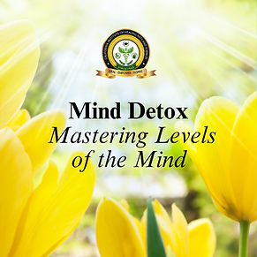 _Mind Detox Mastering Levels of the Mind PDF Cover .png