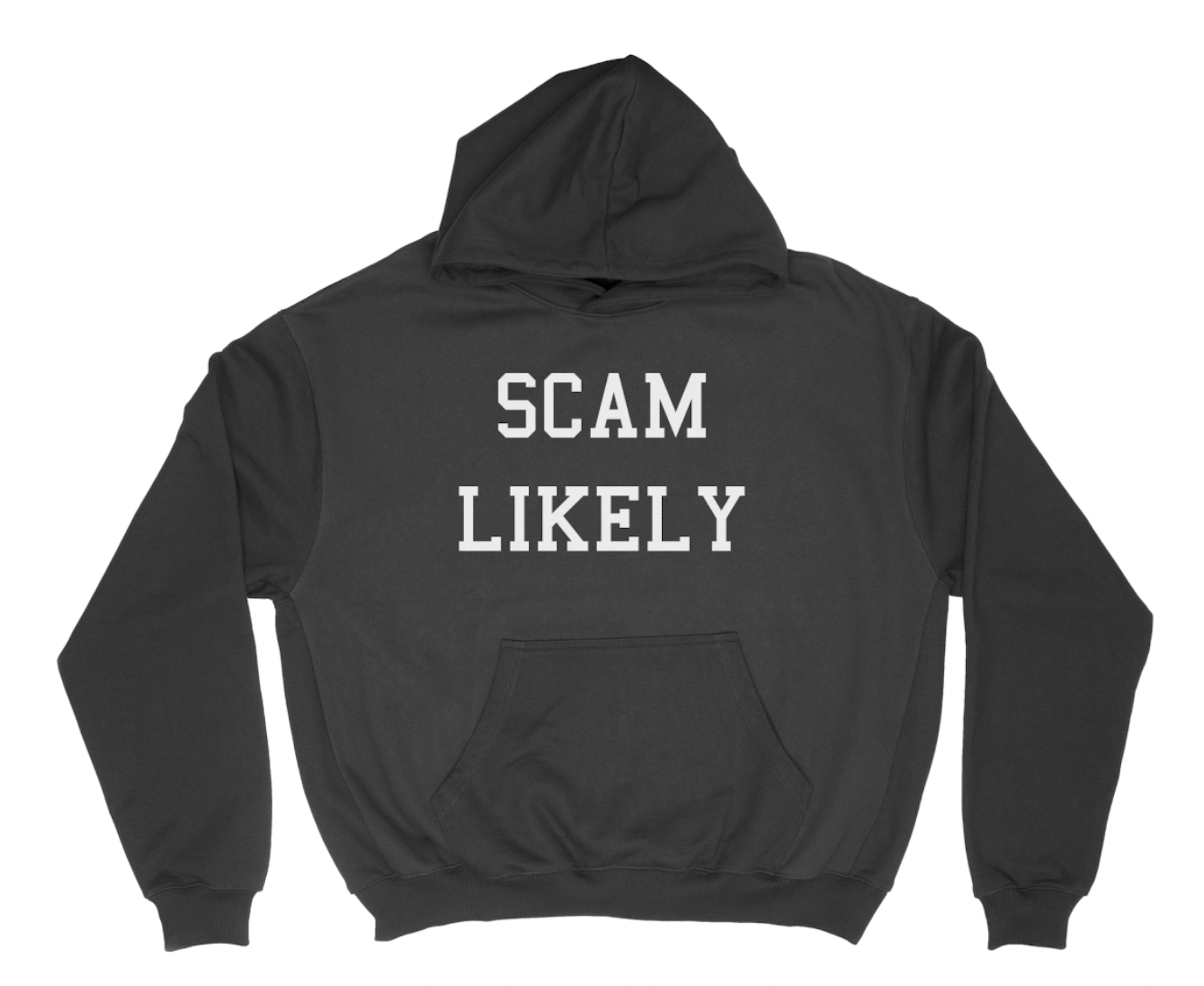SCAM LIKELY Hoodie