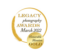 Honorable Mention Gold.png