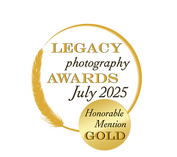 Honorable mention Gold.png