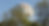 218289324_106329868410285_325904932012482195_n.png
