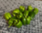 Sweet Bell Peppers