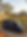 Gemini_Generated_Image_czc8eqczc8eqczc8.png