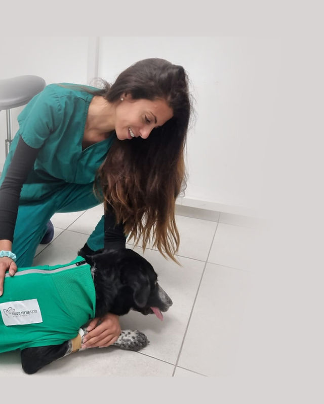 מרכז וטרינרי פסגות