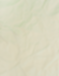 Untitled design (64).png