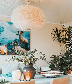 Eos lampshade, UMAGE(Irene)_edited.jpg