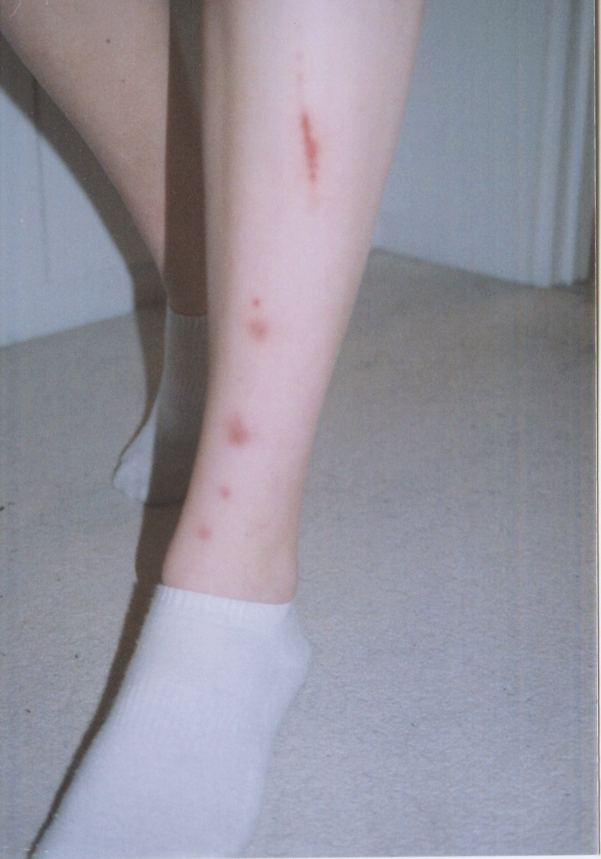 tumblr_o0weahWUQg1ujectfo1_1280.gif