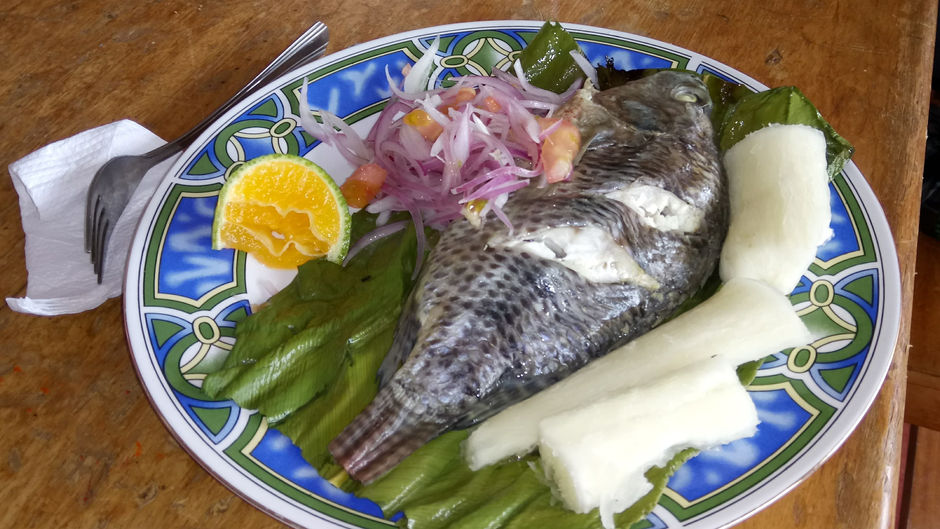 ¿Sabías qué? MAITO DE TILAPIA 
