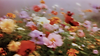 Sonya_Blurry_film_photograph_of_an_overwhelming_explosion_of_wi_1bb100c0-9abb-4e50-b094-21