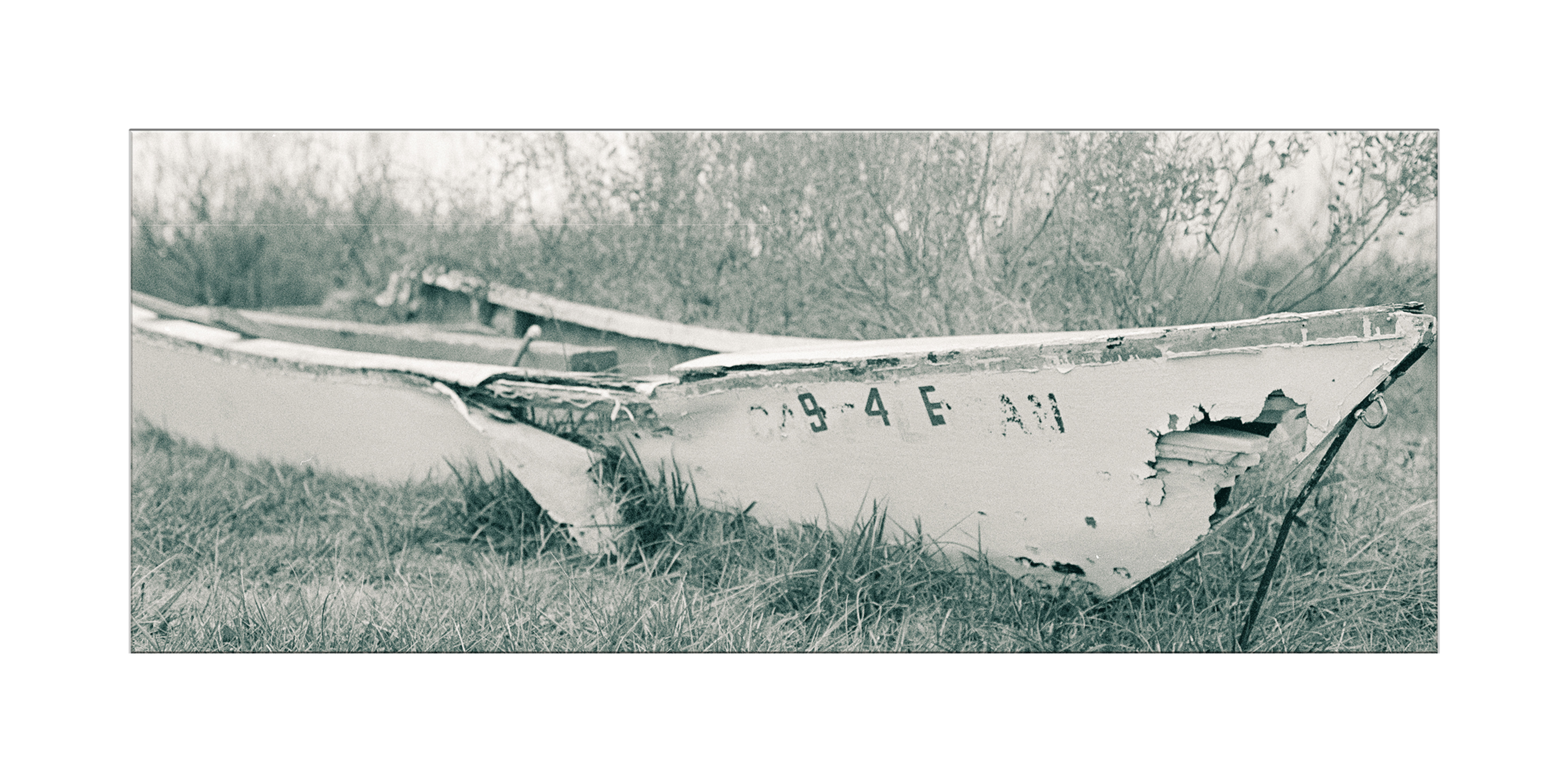 Old and in the Way Pano