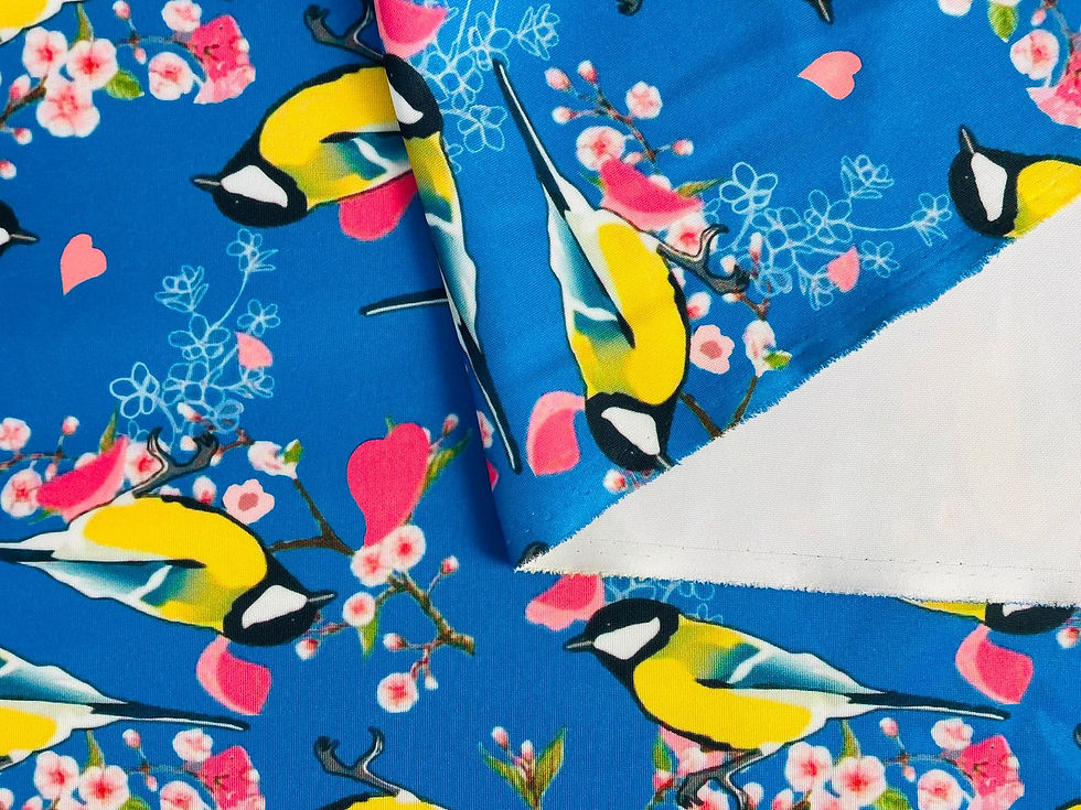 Thumbnail: Floral Blue Tits - Scuba 