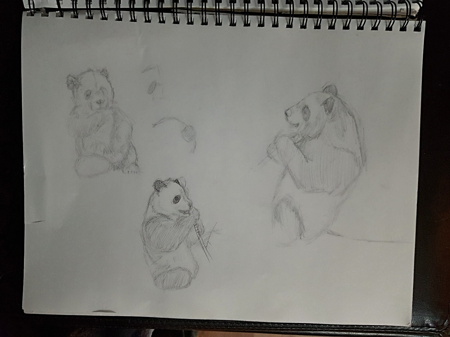 1st sketch Panda Visit