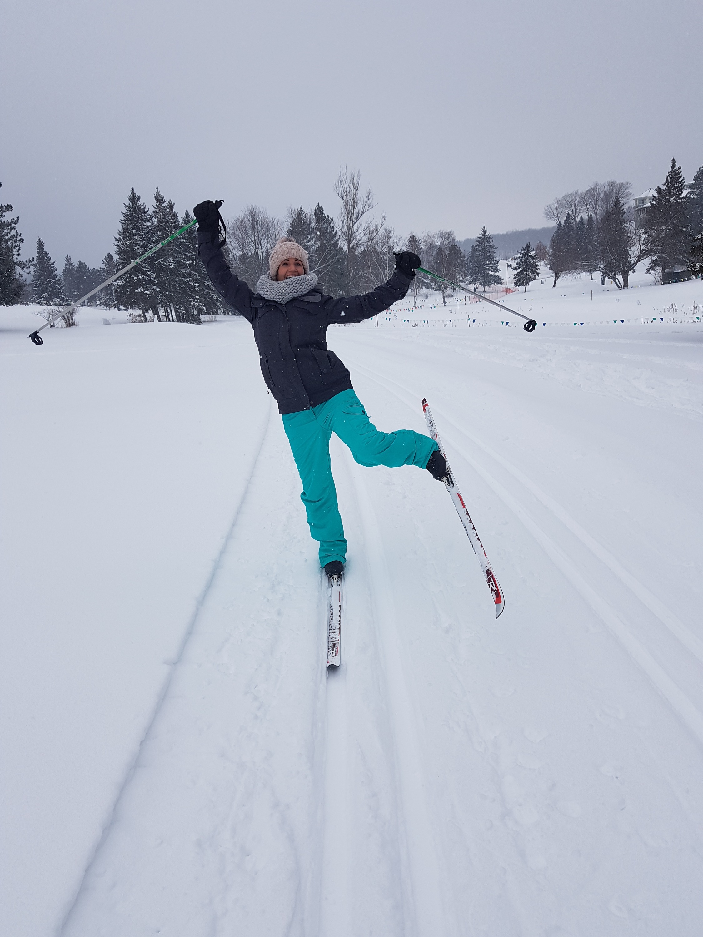 Cross Country Skiing Pro