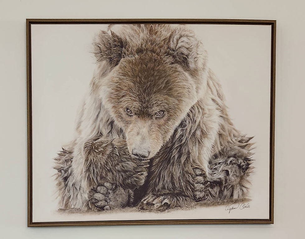 'Fierce' Framed Canvas Print