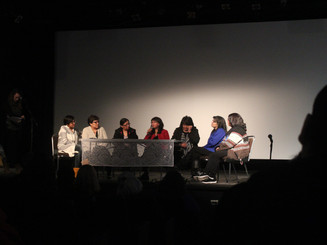 For Love of a River - Post-film Panel