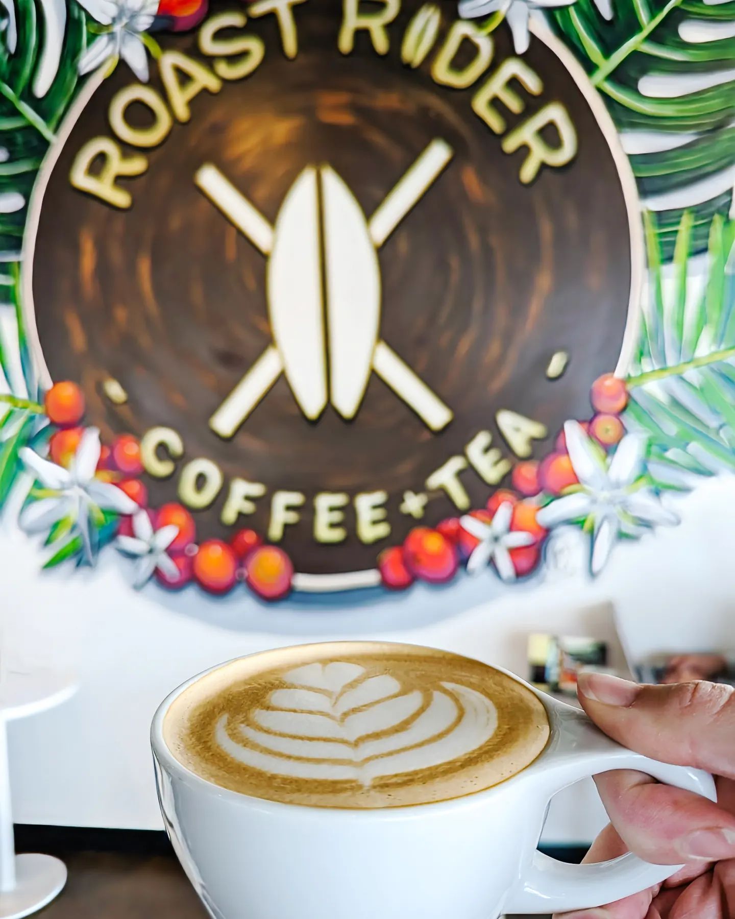 Cozy Coffee Shops Virginia Beach Local