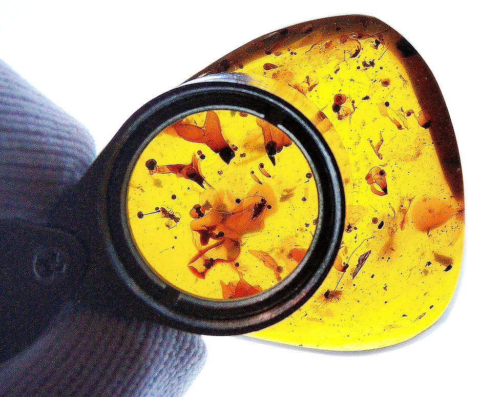 Thumbnail: Burmese amber with swarm inclusion under 30x loupe