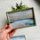 Miniature : Neverland