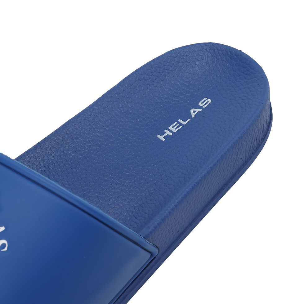 サムネイル： HELAS SAVE HELAS SLIDES