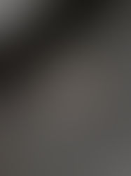 「灯し美 展」 刺繍なごや帯/「三馬」