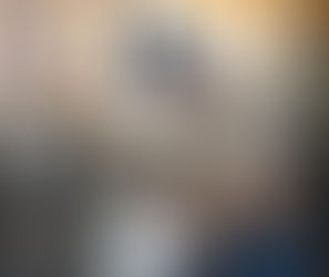 Does the Ulrich Warranty Cover This?