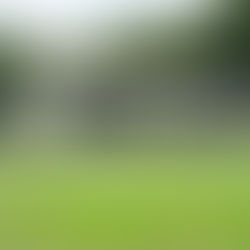 2 Chicks Wedding and Events