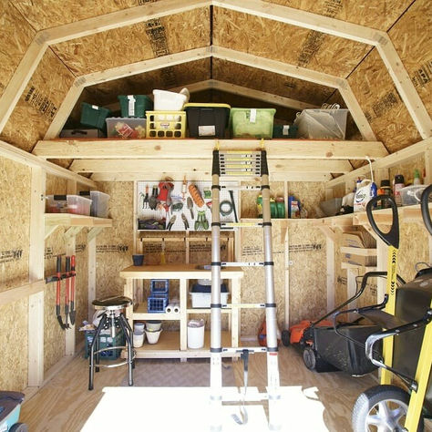 Organize Your Shed Without Breaking the Bank