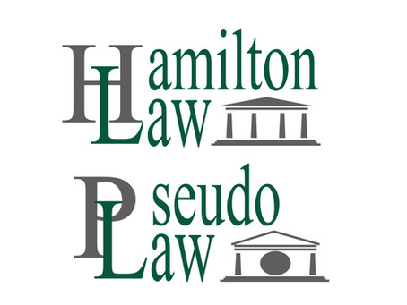 Trademark Litigation