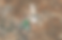 Screen Shot 2020-09-18 at 6.04.12 PM.png