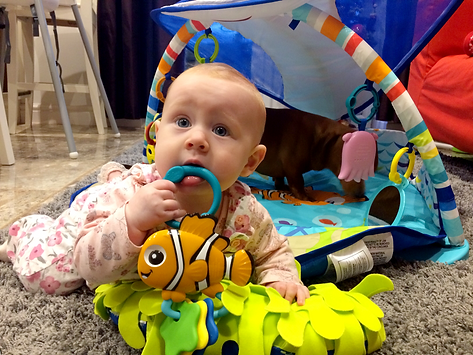 Isabelle with the Disney Activity gym - Mr Ray