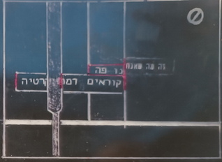 שלטי חוצות-זה מה שאנחנו קוראים פה דמוקרטיה-כהה.png