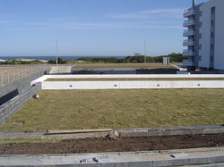 índigo (9)