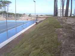 índigo (7)