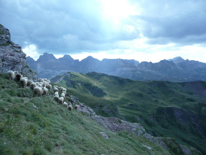 Arnousse Estive Vallée d'Aspe