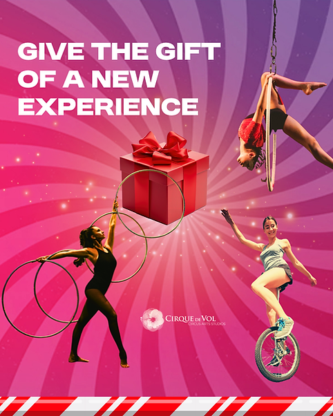 Give the Gift of a New Experience.png
