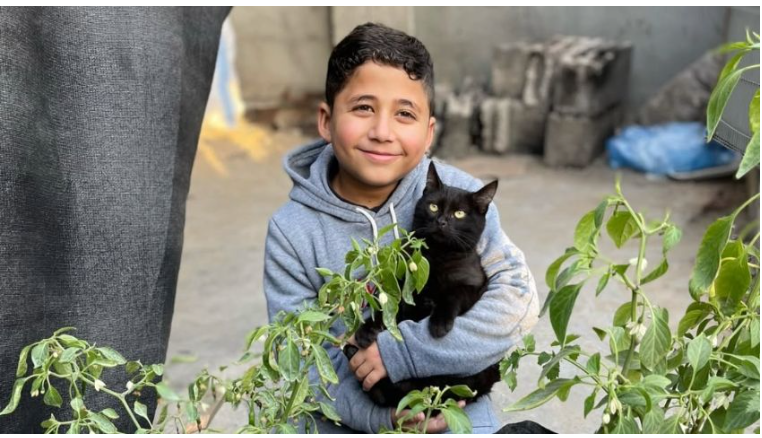 En medio de la guerra en Gaza, Ahmed conmueve por encontrar comida para su gatito.