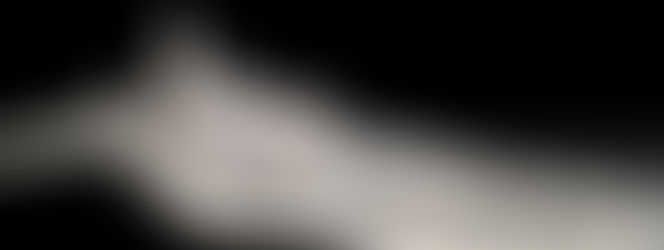 SDV Sham Digital Village