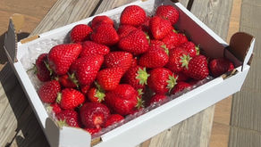 不定期開催限定イベント!!