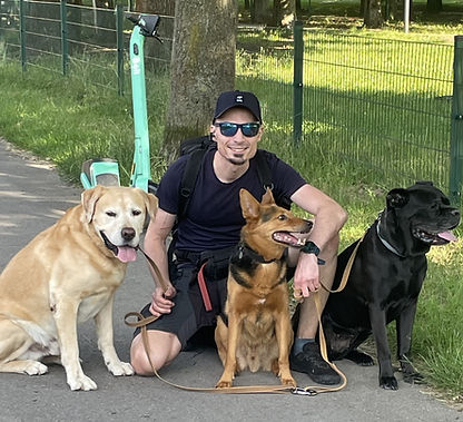 Maciej Głownia z trzema psami podczas spaceru i socjalizacji – labrador, mix owczarka, cane corso